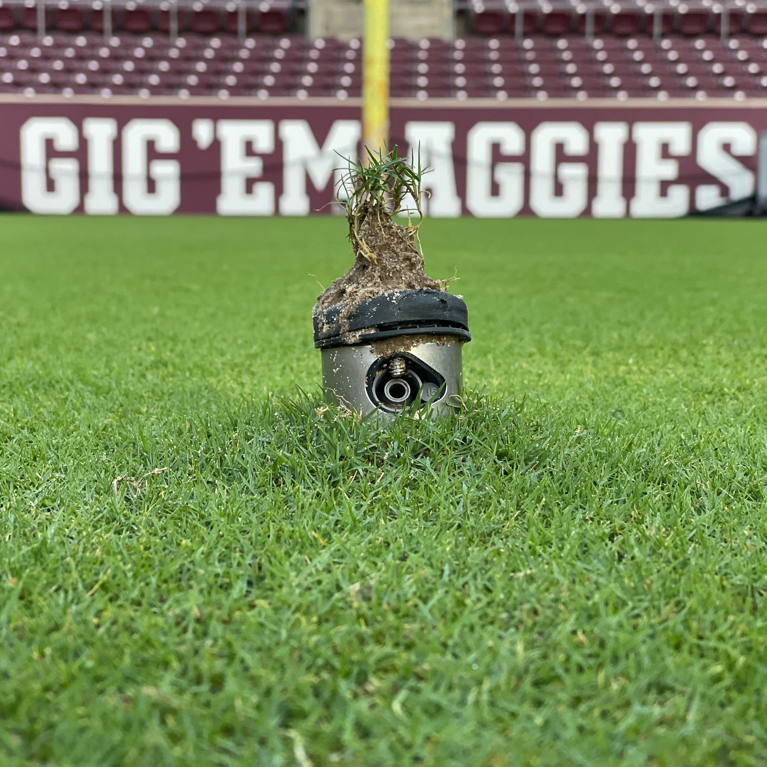 A patch of well-maintained grass growing around a sprinkler head at Kyle field with "GIG 'EM AGGIES" emblazoned in the background.